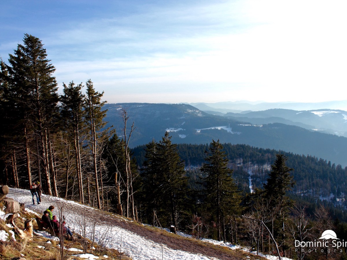 Schnee-Tour auf der&nbsp;Hornisgrinde