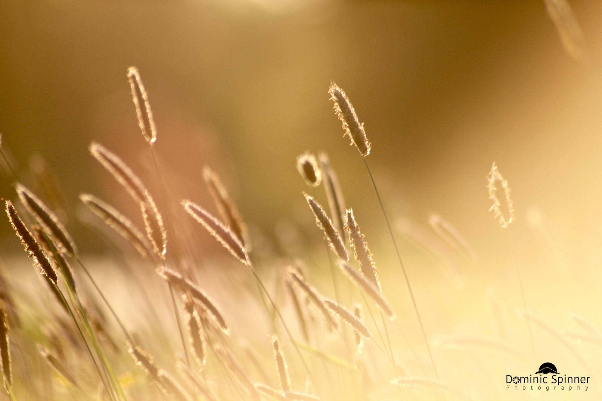 20160504_6_Web