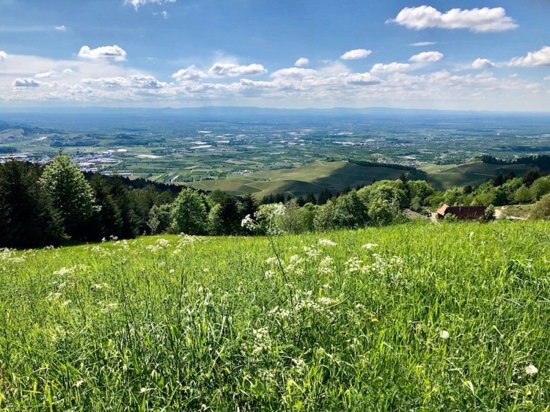 Maiwanderung zur Buchwaldhütte