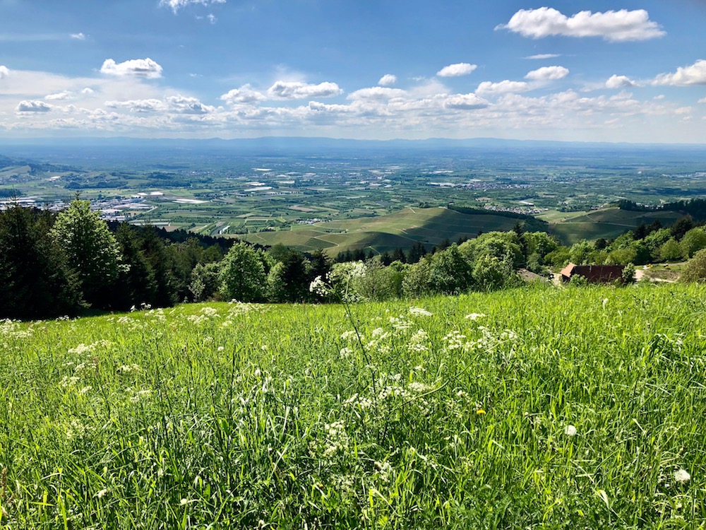 Maiwanderung zur Buchwaldhütte
