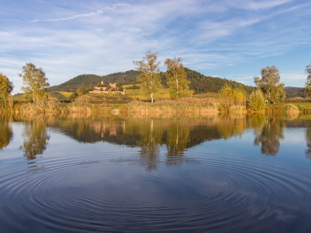 Meine besten Fotos&nbsp;2019