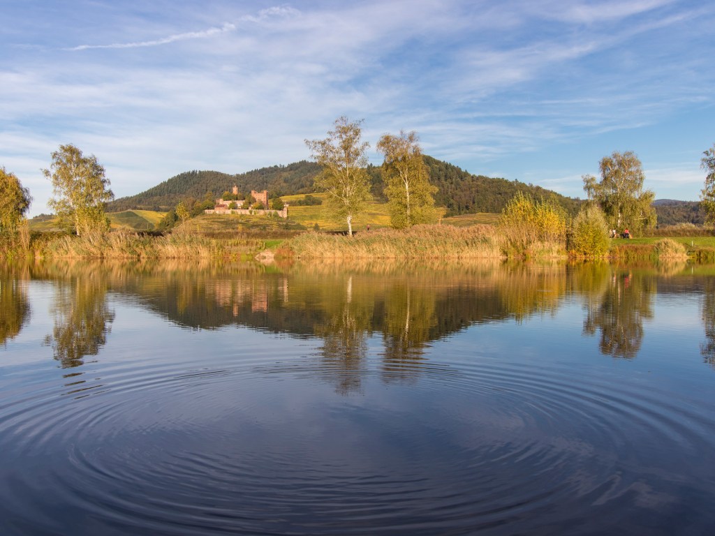 Meine besten Fotos&nbsp;2019